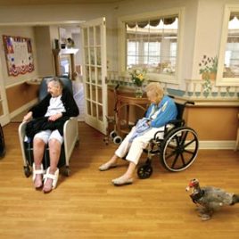 assistedlivingcenters